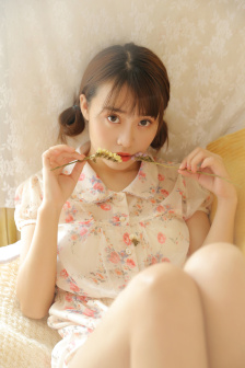 火之意志的继承者